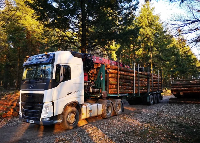 IMG_20190227_181008-3-scaled